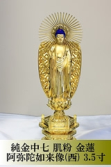 �������� ���� ���@�@����ɔ@����(��) 3.5��