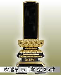 �ʔv�ʔ́@���@�� ����q �h 3.5���@������������