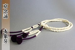 ���@�@�p����@�{�ۉ�@���[ ��o�� �ʔ�