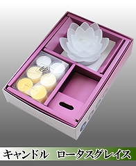 ���[�^�X�O���C�X